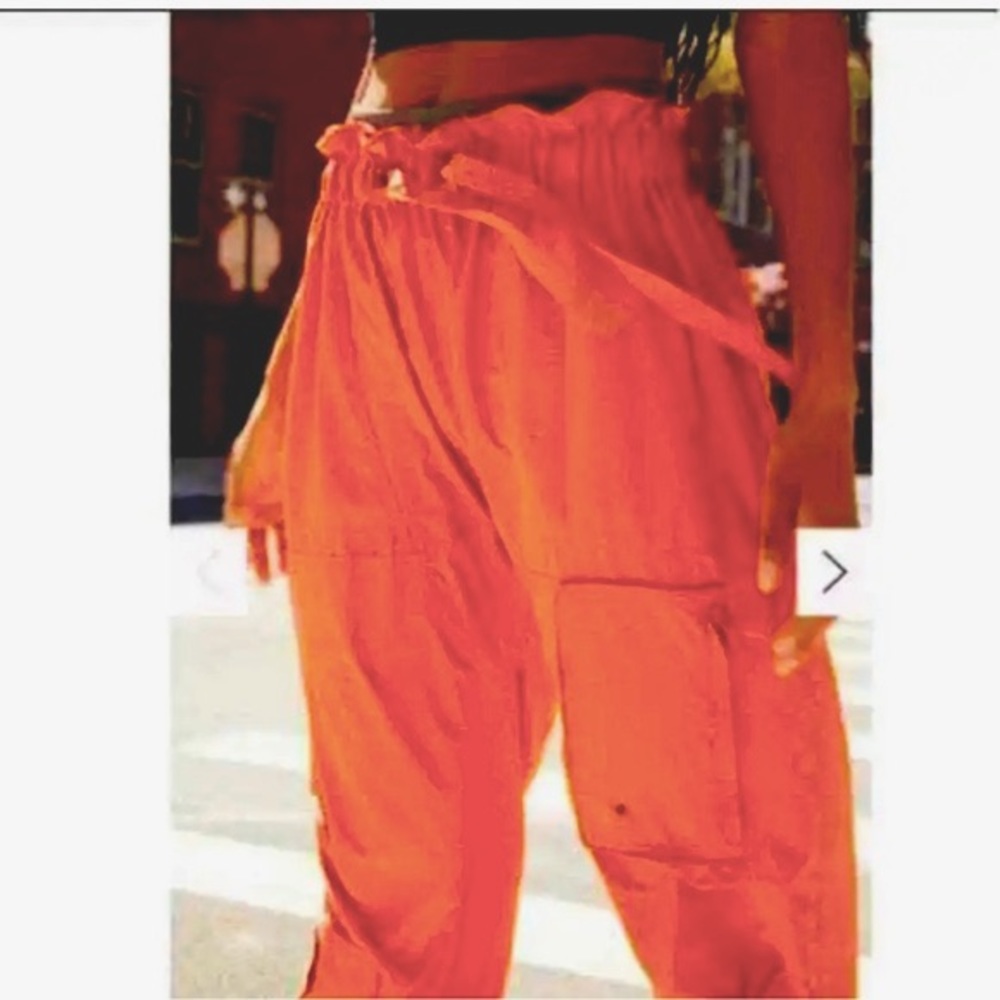 Free People Spring Trekker Pants